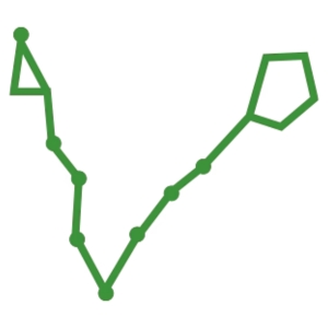 Purva Bhadrapada Nakshatra